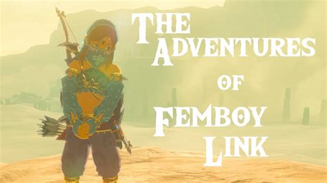 Watch Femboy Link Compilation .
